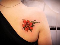 Тату красный цветок на лопатке