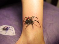 Небольшая тату паук
