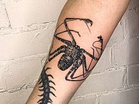 Тату паук на предплечье