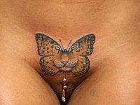 Тату бабочка - тигр