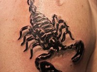 тату скорпион на плече
