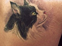 Татуировка кошка на спине