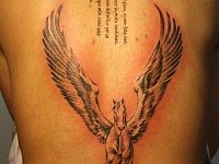 Большая тату на спине пегас и надпись