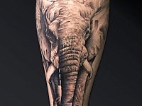 Тату слон на ноге