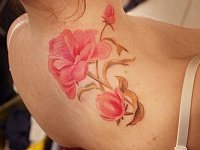 женская тату пионы на плече