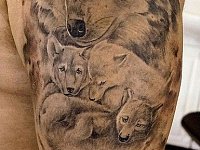 Татуировка семья волков на плече