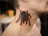Тату 3d паук на шее