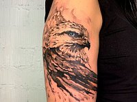 Тату орла на плече