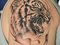 тату тигр на плече