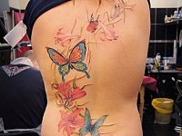 тату бабочки на спине