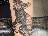 татуировка кот сфинкс