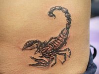 Тату скорпион