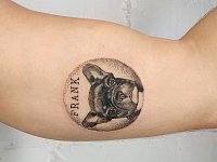 Тату мопс на бицепсе