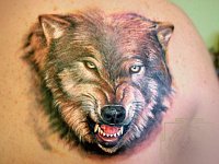 татуировка волк с оскалом