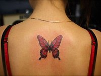 тату для девушек бабочка