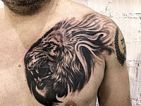 Тату лев с оскалом на груди