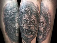 Тату лев на ноге