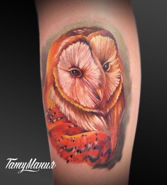 Тату сипуха