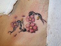 тату сакура на животе