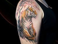 Тату тигр и сакура
