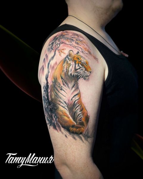 Тату тигр и сакура