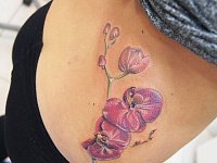 Татуировка орхидея на боку