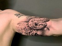 Тату змея на бицепсе