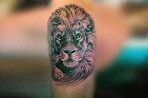 Татуировки в виде льва - примеры работ салона ТАТУ-МАНИЯ