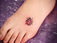 Тату божья коровка как живая