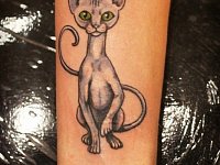 тату котик