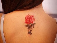 тату розочка на спине