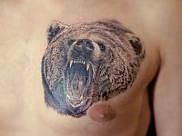 тату оскал медведя на груди