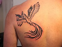 тату птица на лопатке