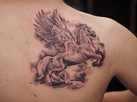Тату пегас