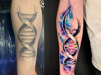 Обновление тату ДНК