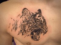 Тату на груди тигр