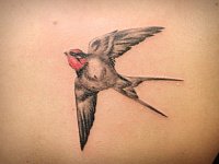 Тату летящая ласточка