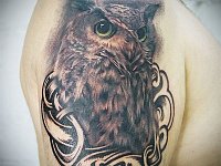 Тату филин на плече