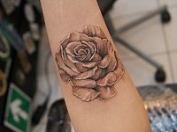 тату роза теневая
