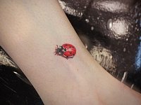 Маленькая тату божья коровка на шиколотке