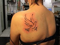 Тату контурная голубь на лопатке
