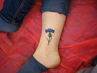 женская тату василёк