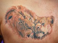 Тату лев и львица