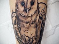 Тату сова на руке