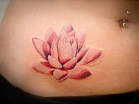 Тату лотос на животе