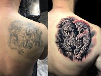 Перекрытие тату лев и гладиатор