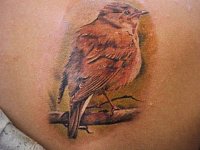 Татуировка птица в реализме