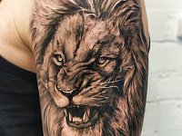 Тату лев с оскалом