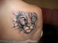 Татуировка морда львицы