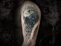 Татуировка орла на плече